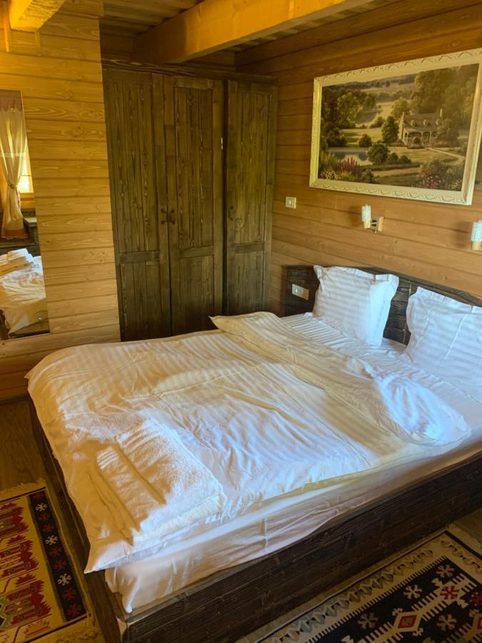 Casuta Bunicilor Villa Viseu de Jos Esterno foto